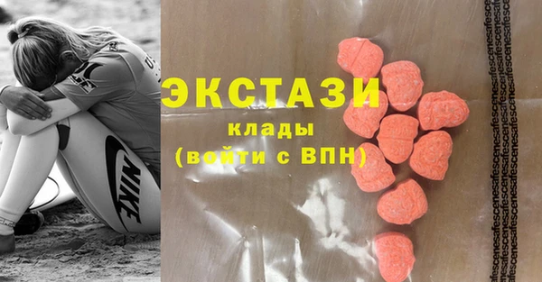 индика Медногорск