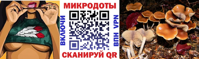 Галлюциногенные грибы Magic Shrooms  где найти   Цимлянск 